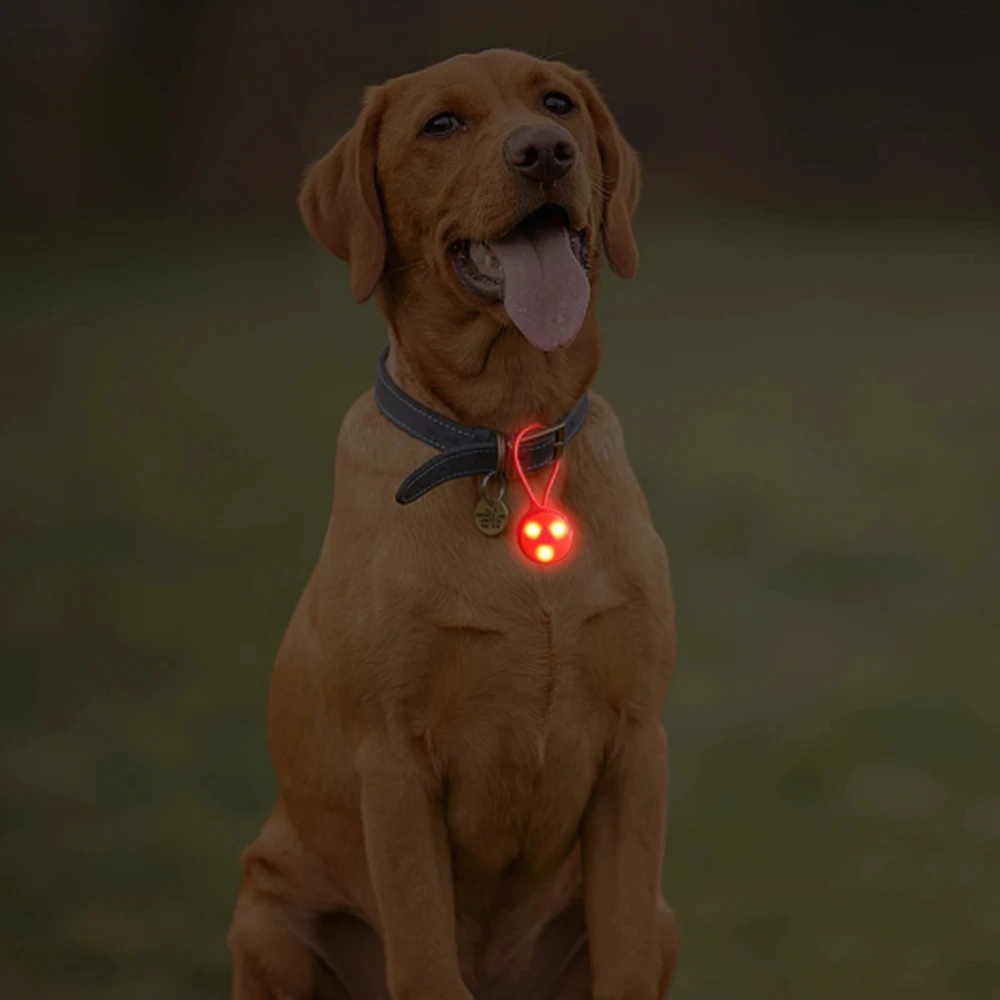 Lumières de sac à dos d'extéri - Outdoor Camping Lights String avis et prix